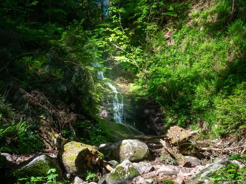 Image qui illustre: Le Saut De La Bourrique à Gérardmer - 0