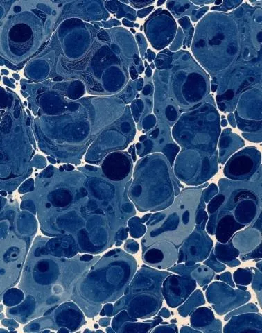 Image qui illustre: L'empreinte de la couleur