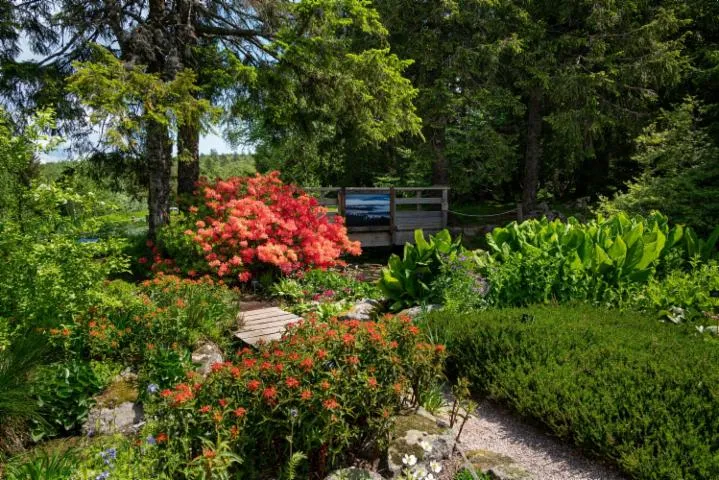 Image qui illustre: Visite libre du jardin d'altitude du Haut Chitelet