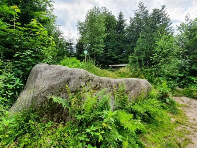 Image qui illustre: La Pierre Charlemagne