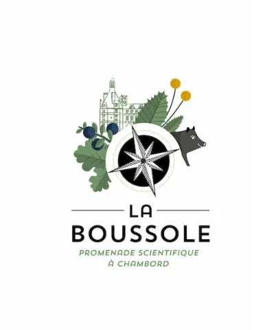 Image qui illustre: La Boussole : Promenade Scientifique À Chambord