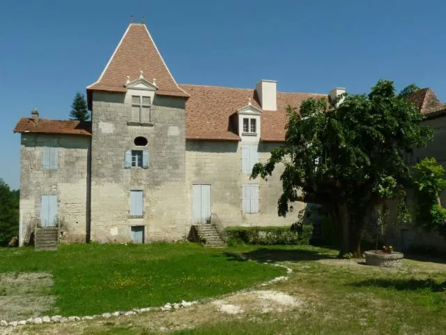 Image qui illustre: Château de Bonnes
