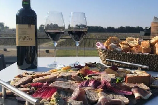 Image qui illustre: Visite du terroir avec dégustation de quatre vins au Château Paloumey