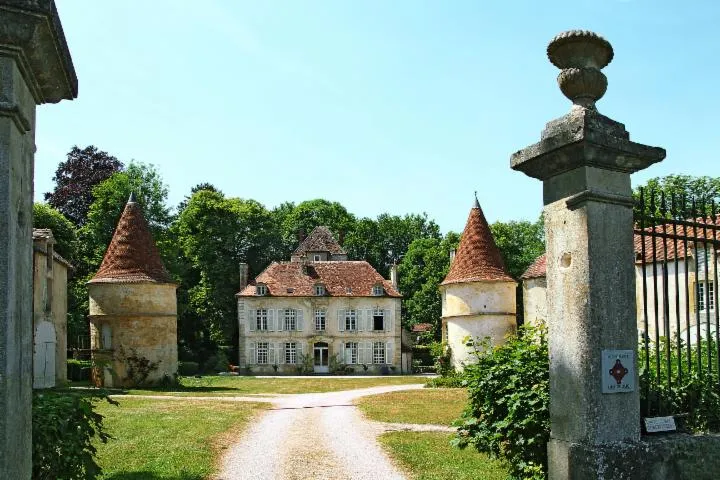 Image qui illustre: Château de Quemigny