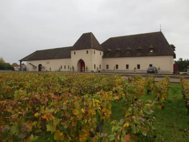 Image qui illustre: Château de Marsannay