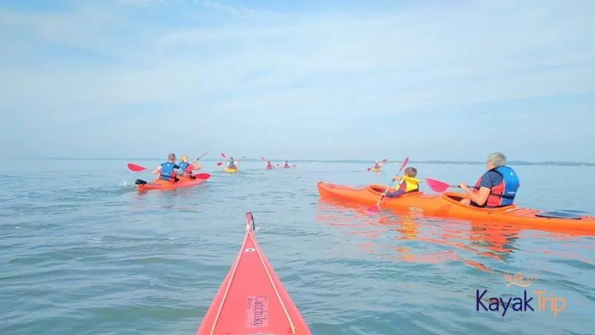 Image qui illustre: Balade en kayak de mer