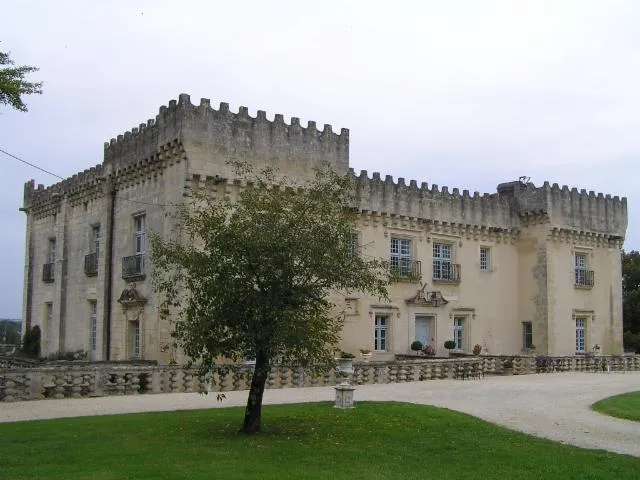 Image qui illustre: Château de Fleurac