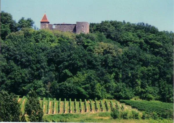 Image qui illustre: Château du Cros