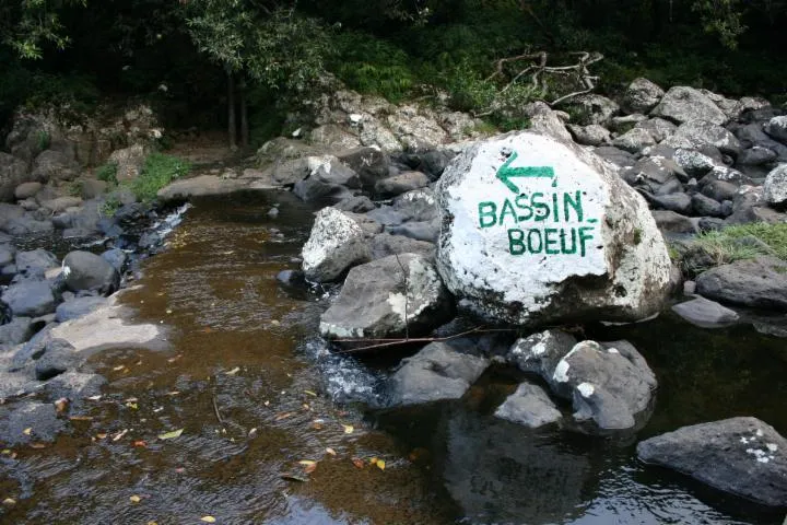 Image qui illustre: Bassin Bœuf