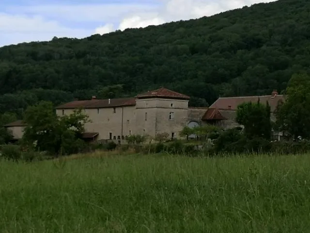 Image qui illustre: Château de Verjon 
