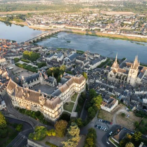 Image qui illustre: Le Château Royal de Blois: Billet d'entrée