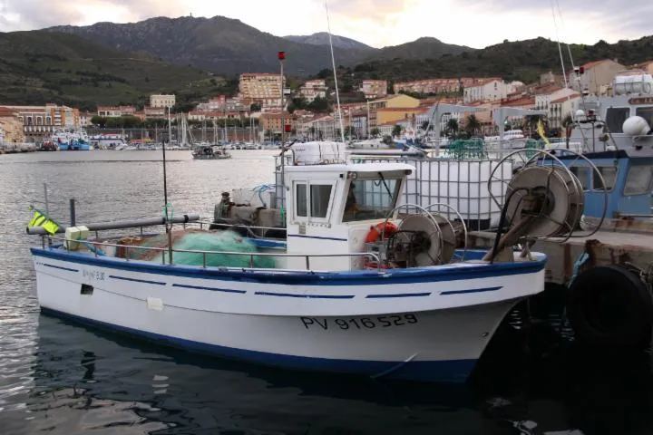 Image qui illustre: Port de Pêche du Croisic