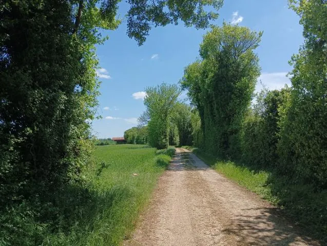 Image qui illustre: Le Chemin Des Lavandières - Hanc