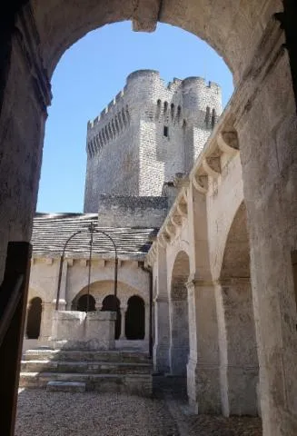 Image qui illustre: Abbaye De Montmajour