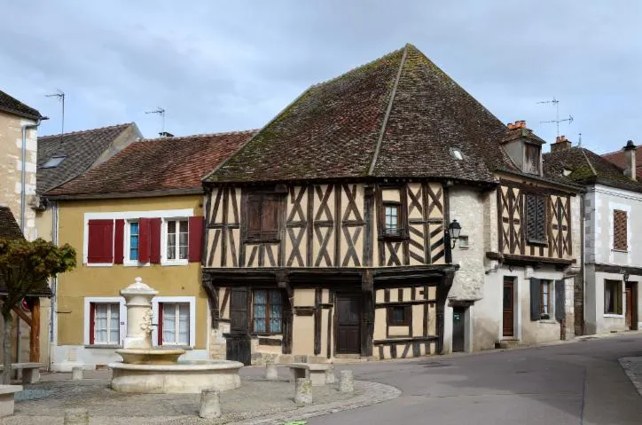 Image qui illustre: Village médiéval de Cravant