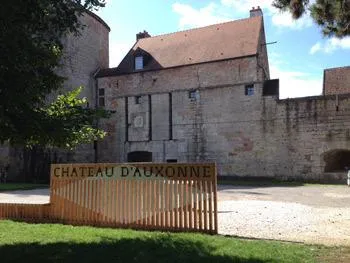 Image qui illustre: Château Louis XI