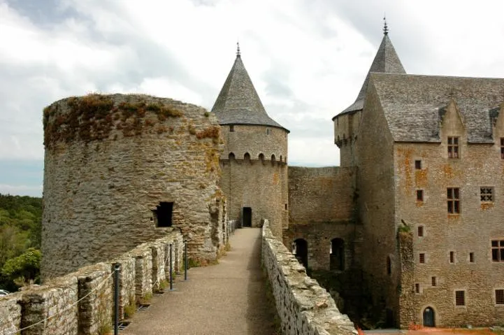 Image qui illustre: Château de Suscinio