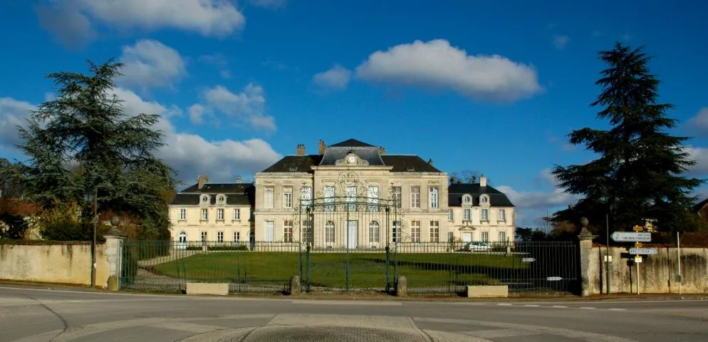 Image qui illustre: Château D'arcelot