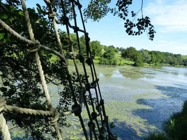 Image qui illustre: Lac aux Branches