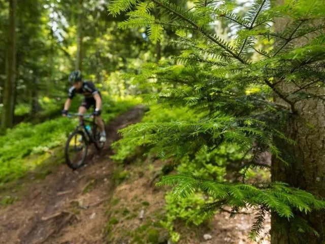 Image qui illustre: Circuit Vtt N° 80 Le Void Des Roches