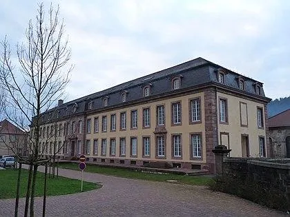 Image qui illustre: Châteaux des Princes de Salm-Salm