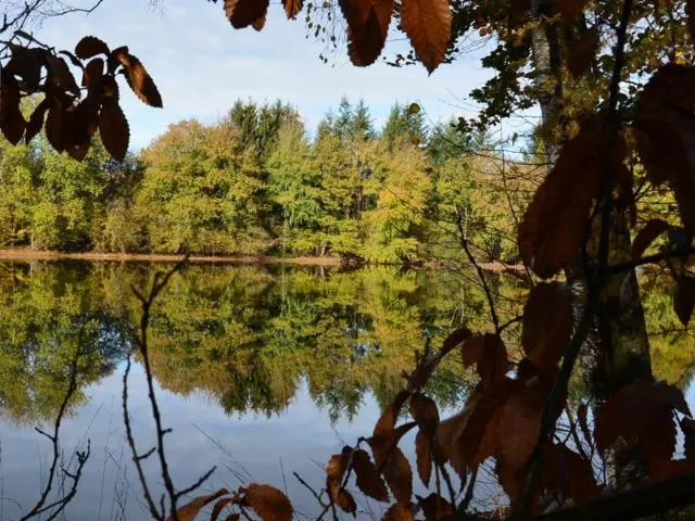 Image qui illustre: Circuit Les Granges Richard Xt N°5