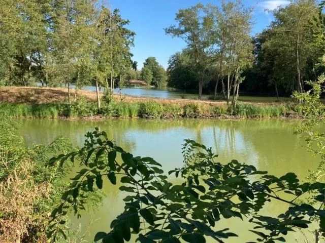 Image qui illustre: Sentier "L'ile-sous-essegney"