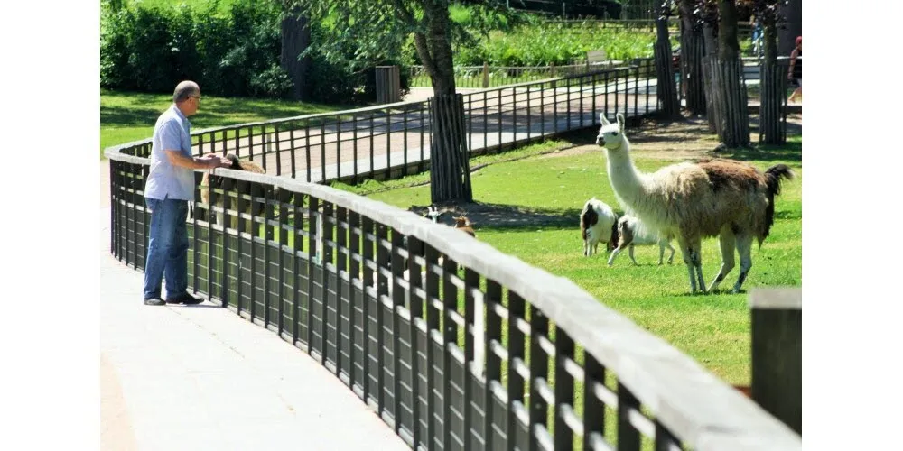 Image qui illustre: Parc animalier 