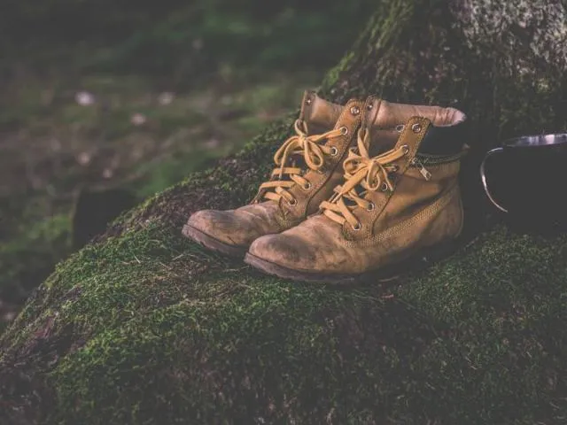 Image qui illustre: Circuit Gumenil