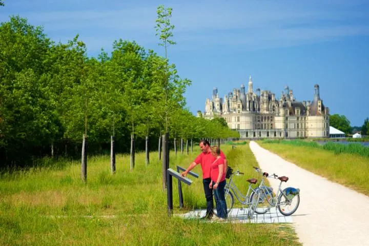 Image qui illustre: Circuits Cyclotouristiques À Chambord