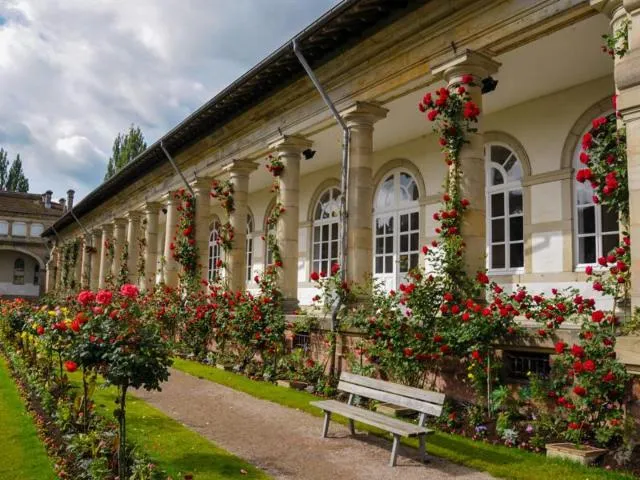 Image qui illustre: Roseraie