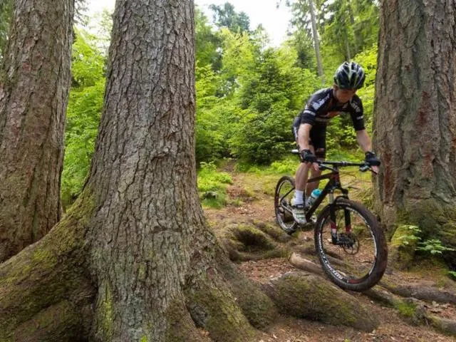 Image qui illustre: Circuit Vtt N° 95 Vieux Saint-laurent