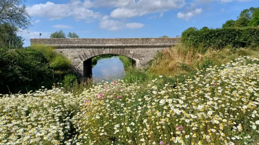 Image qui illustre: Circuit Utah Beach Et Les Drop Zones Américaines Par Memory Tracks