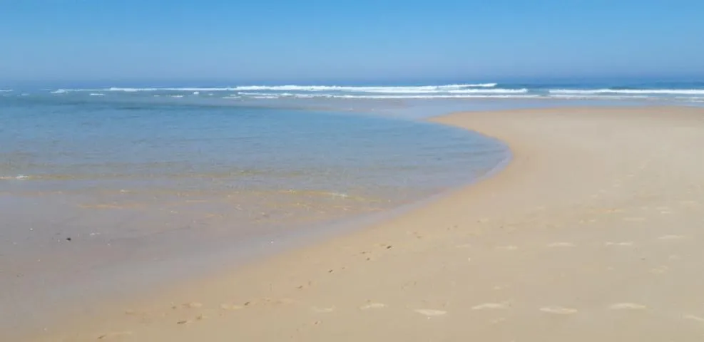 Image qui illustre: Randonnée pédestre, à la découverte de la plage et de ses paléosols