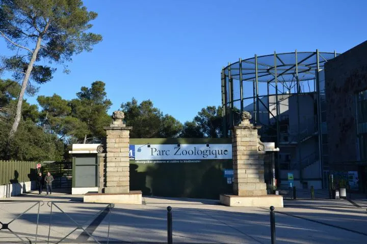 Image qui illustre: Parc de Lunaret - Zoo de Montpellier