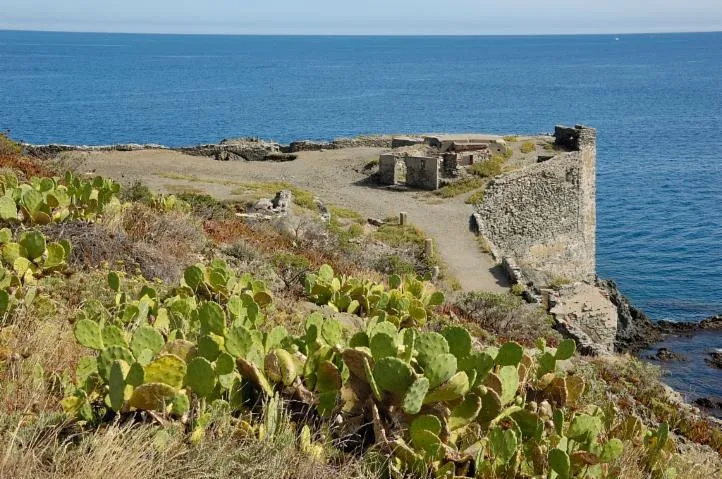 Image qui illustre: Fort de la Mauresque