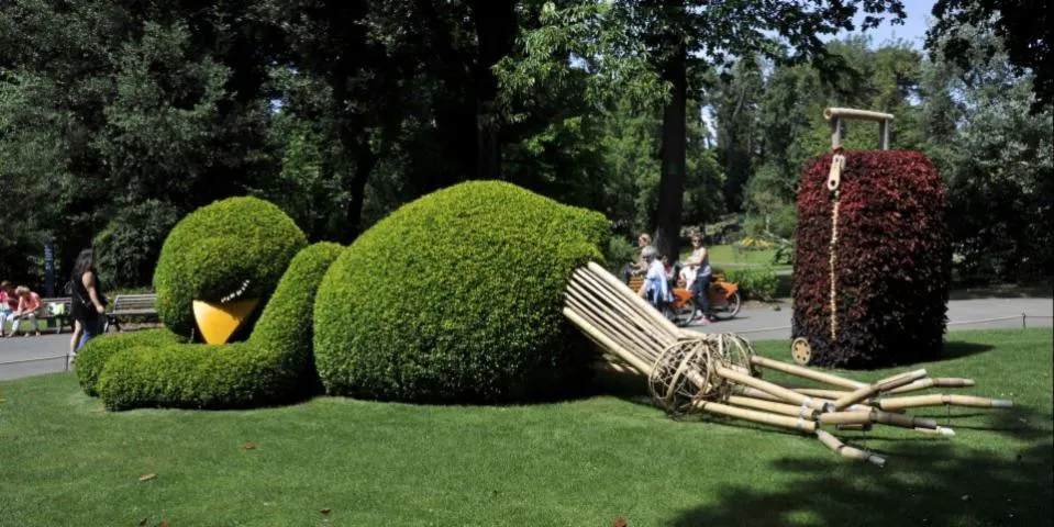 Image qui illustre: Jardin Des Plantes