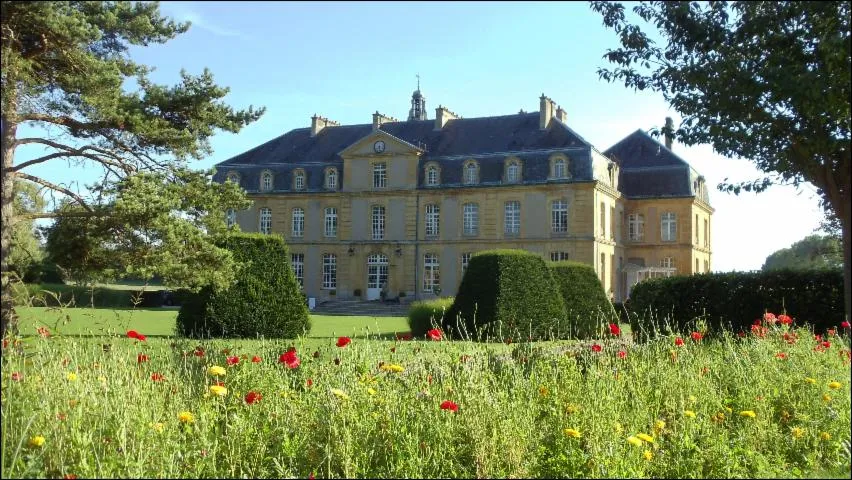 Image qui illustre: Château De Pange