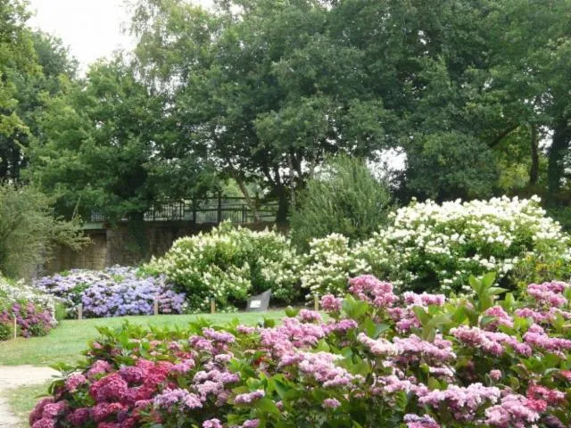 Image qui illustre: Arboretum des Hortensias