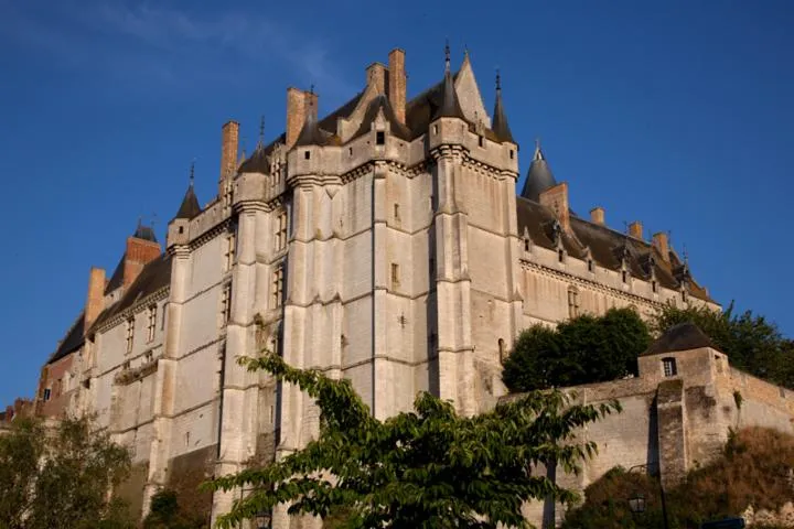 Image qui illustre: Château De Châteaudun