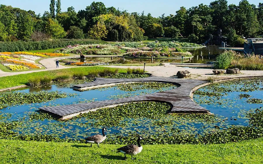 Image qui illustre: Parc Floral De Paris - Jardin Botanique De Paris