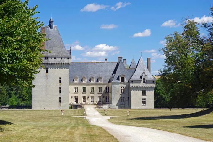 Image qui illustre: Château De L'isle Savary