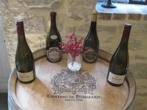 Dégustation de vins au château de Pommard