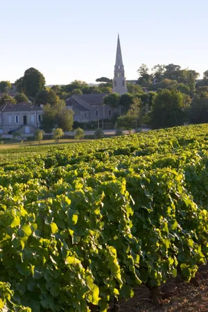 Dégustation de 10 vins Grand Cru de Bourgogne