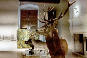 Musée de la chasse et de la nature 