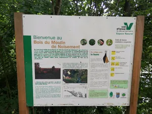 Bois du Moulin de Noisemont