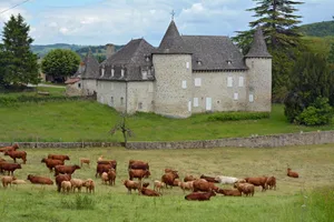 Château d'Entraygues