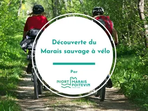 Découverte du Marais sauvage à vélo