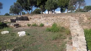 Site archéologique de Tholon