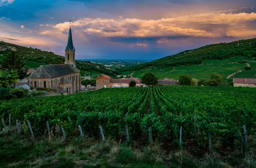 Illustration du guide: Les 20 meilleures activités à faire cet été Bourgogne Franche Comté